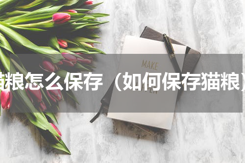 猫粮怎么保存（如何保存猫粮）