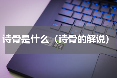诗骨是什么（诗骨的解说）