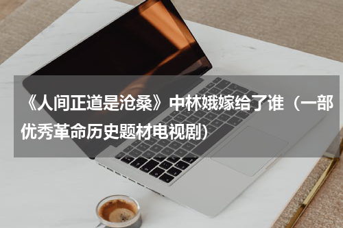 《人间正道是沧桑》中林娥嫁给了谁（一部优秀革命历史题材电视剧）