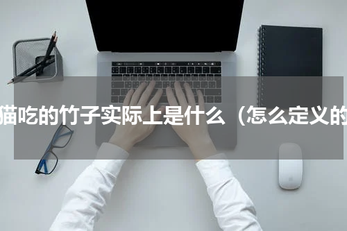 熊猫吃的竹子实际上是什么（怎么定义的）
