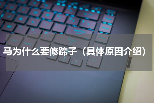 马为什么要修蹄子（具体原因介绍）