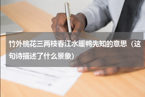 竹外桃花三两枝春江水暖鸭先知的意思（这句诗描述了什么景象）