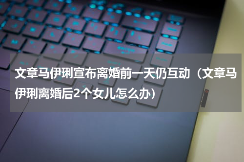 文章马伊琍宣布离婚前一天仍互动（文章马伊琍离婚后2个女儿怎么办）