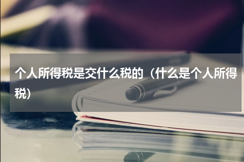 个人所得税是交什么税的（什么是个人所得税）