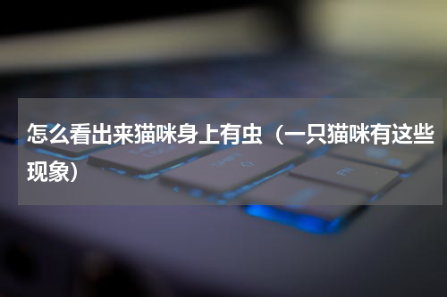 怎么看出来猫咪身上有虫（一只猫咪有这些现象）