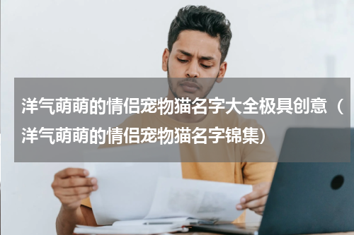 洋气萌萌的情侣宠物猫名字大全极具创意（洋气萌萌的情侣宠物猫名字锦集）