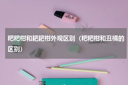 粑粑柑和耙耙柑外观区别（粑粑柑和丑橘的区别）