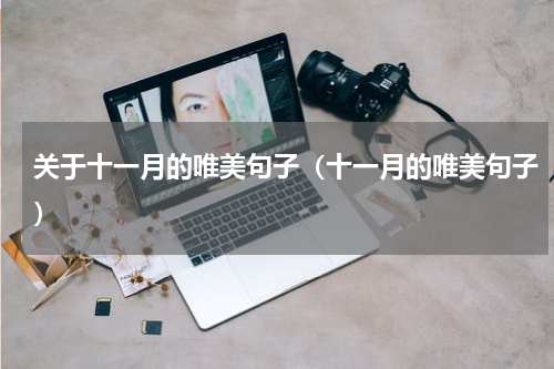关于十一月的唯美句子（十一月的唯美句子）