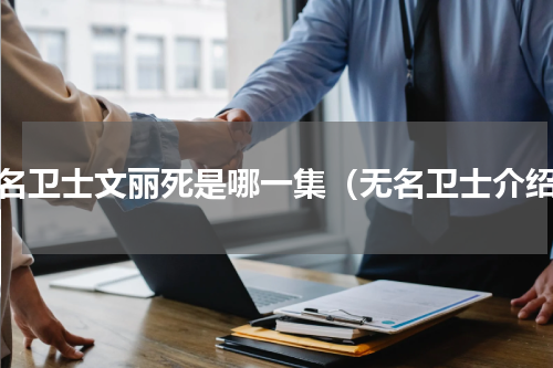 无名卫士文丽死是哪一集（无名卫士介绍）