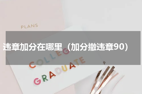 违章加分在哪里（加分撤违章90）
