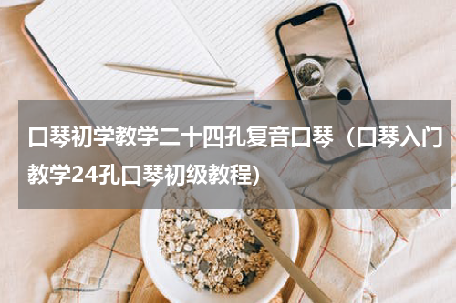 口琴初学教学二十四孔复音口琴（口琴入门教学24孔口琴初级教程）