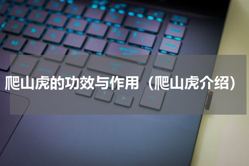 爬山虎的功效与作用（爬山虎介绍）