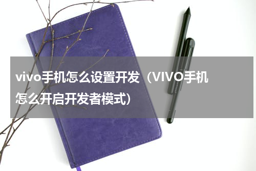 vivo手机怎么设置开发（VIVO手机怎么开启开发者模式）