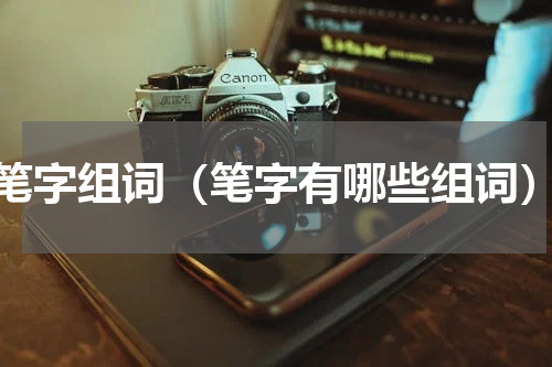 笔字组词（笔字有哪些组词）