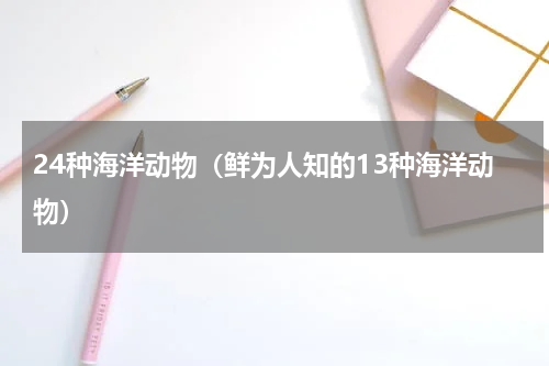 24种海洋动物（鲜为人知的13种海洋动物）