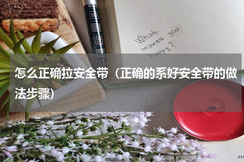 怎么正确拉安全带（正确的系好安全带的做法步骤）