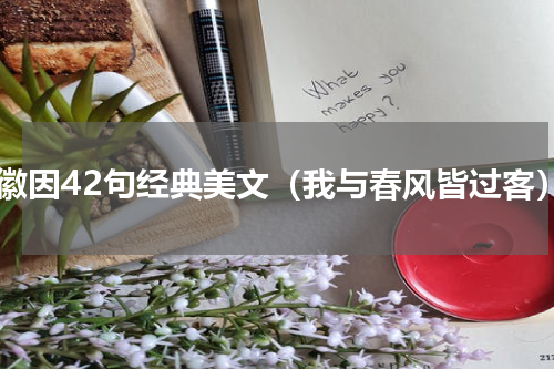 林徽因42句经典美文（我与春风皆过客）