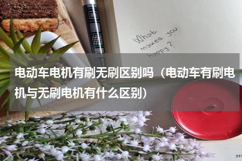 电动车电机有刷无刷区别吗（电动车有刷电机与无刷电机有什么区别）