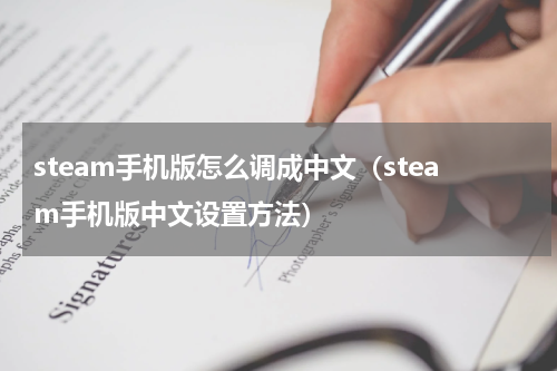 steam手机版怎么调成中文（steam手机版中文设置方法）
