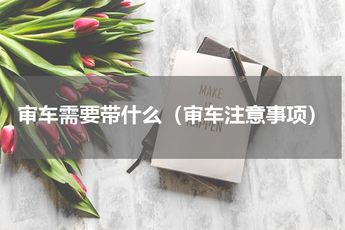 审车需要带什么（审车注意事项）
