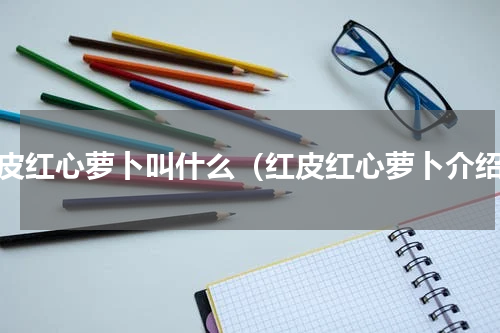 红皮红心萝卜叫什么（红皮红心萝卜介绍）