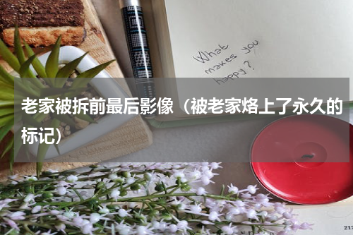 老家被拆前最后影像（被老家烙上了永久的标记）
