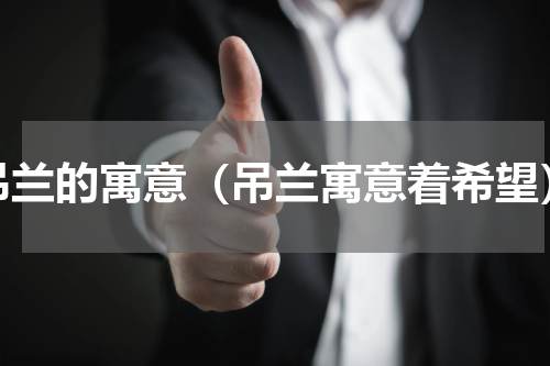吊兰的寓意（吊兰寓意着希望）