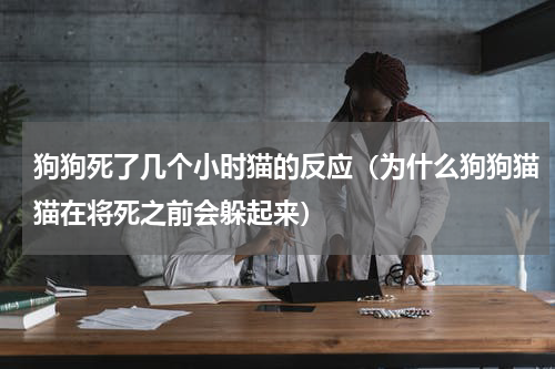 狗狗死了几个小时猫的反应（为什么狗狗猫猫在将死之前会躲起来）