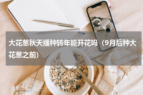 大花葱秋天播种转年能开花吗（9月后种大花葱之前）