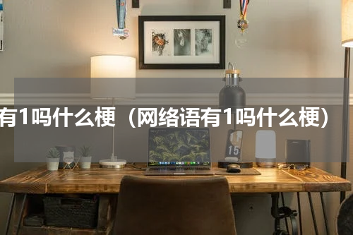 有1吗什么梗（网络语有1吗什么梗）