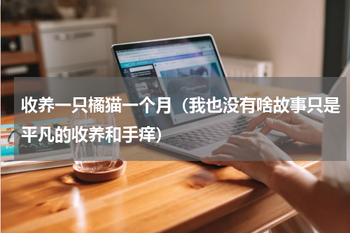 收养一只橘猫一个月（我也没有啥故事只是平凡的收养和手痒）