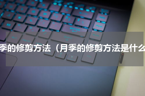 月季的修剪方法（月季的修剪方法是什么）