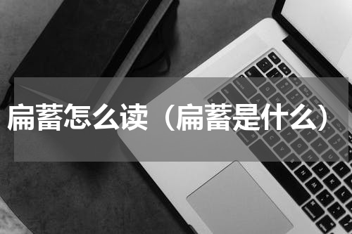 扁蓄怎么读（扁蓄是什么）