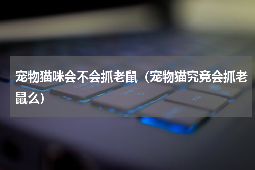 宠物猫咪会不会抓老鼠（宠物猫究竟会抓老鼠么）