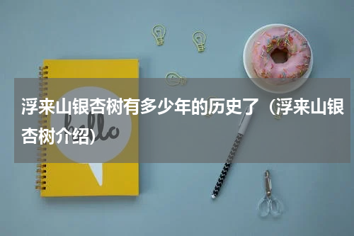 浮来山银杏树有多少年的历史了（浮来山银杏树介绍）