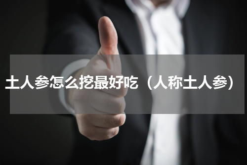 土人参怎么挖最好吃（人称土人参）
