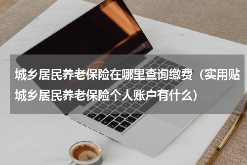 城乡居民养老保险在哪里查询缴费（实用贴城乡居民养老保险个人账户有什么）