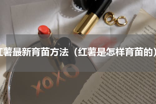 红薯最新育苗方法（红薯是怎样育苗的）
