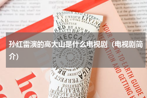 孙红雷演的高大山是什么电视剧（电视剧简介）