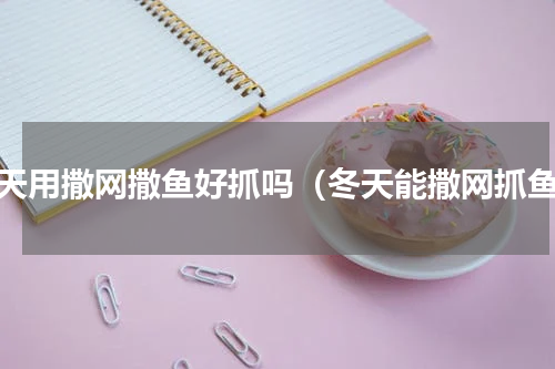 冬天用撒网撒鱼好抓吗（冬天能撒网抓鱼）