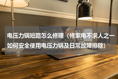 电压力锅短路怎么修理（修家电不求人之一如何安全使用电压力锅及日常故障排除）