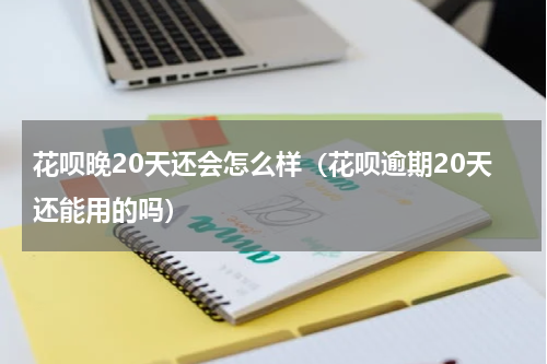 花呗晚20天还会怎么样（花呗逾期20天还能用的吗）