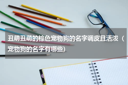 丑萌丑萌的棕色宠物狗的名字调皮且活泼（宠物狗的名字有哪些）