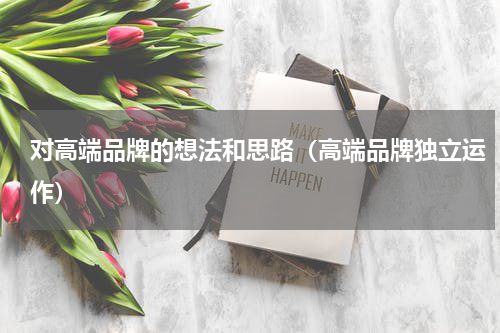 对高端品牌的想法和思路（高端品牌独立运作）
