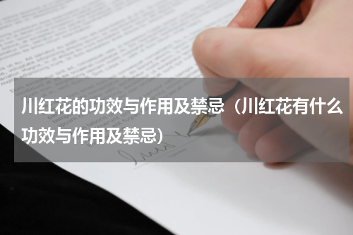 川红花的功效与作用及禁忌（川红花有什么功效与作用及禁忌）