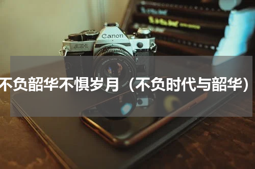 不负韶华不惧岁月（不负时代与韶华）