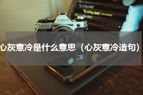 心灰意冷是什么意思（心灰意冷造句）