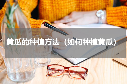 黄瓜的种植方法（如何种植黄瓜）
