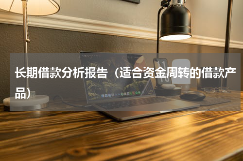 长期借款分析报告（适合资金周转的借款产品）
