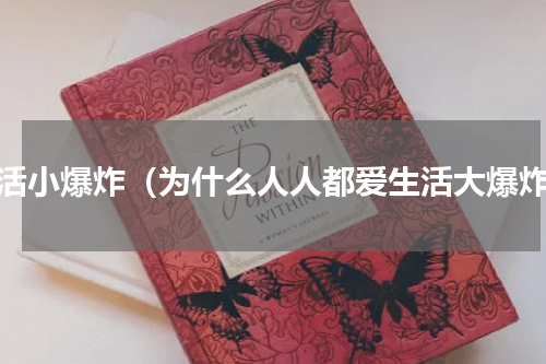 生活小爆炸（为什么人人都爱生活大爆炸）